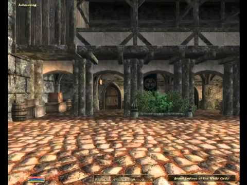 Let's Play Oblivion - Adash City of Magic [Part 36]: Rating Probably