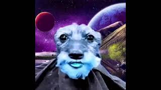 Cover art for Skibidi edge rizz