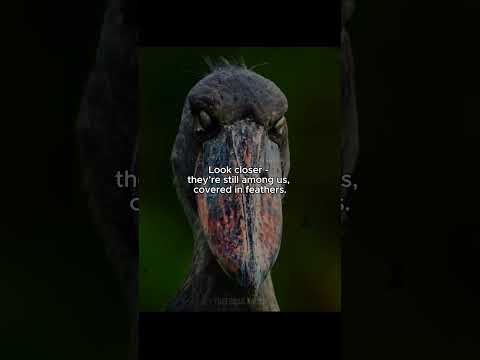 They Didn’t Vanish… They Evolved 😳 #prehistoricanimals #dinosaur