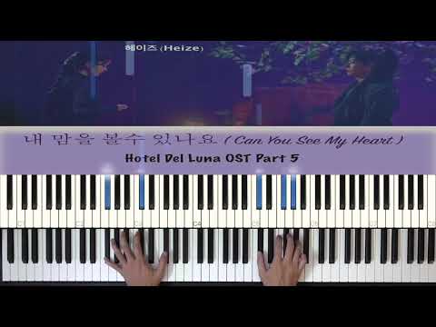 Can you see my heart Piano Performance Video