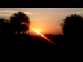 Beautiful Sunrise Seen From International Drive In Orlando Florida