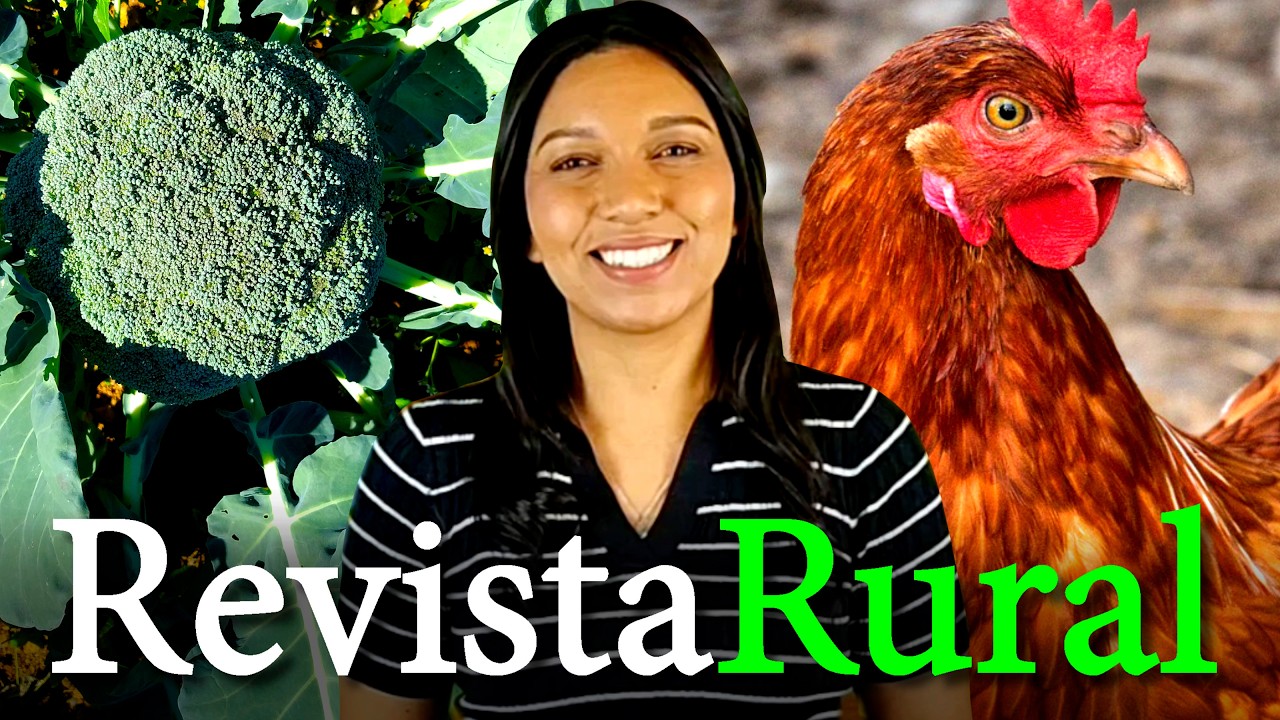 PROGRAMA REVISTA RURAL - 12/07/2026