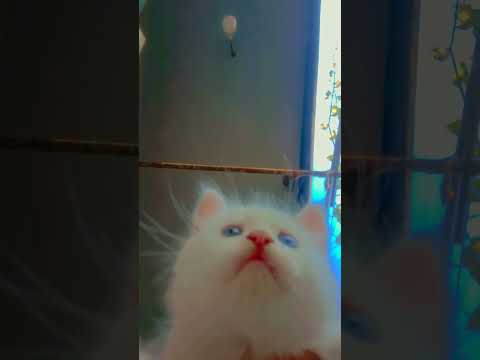 ٢٦ أغسطس ٢٠٢٤