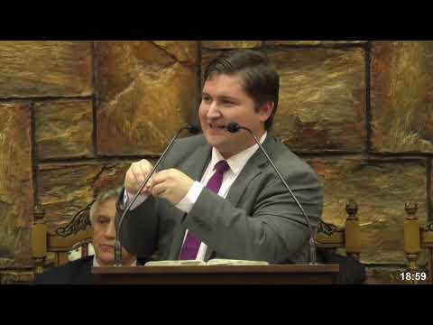 O săgeată de izbăvire - Caleb Nechifor