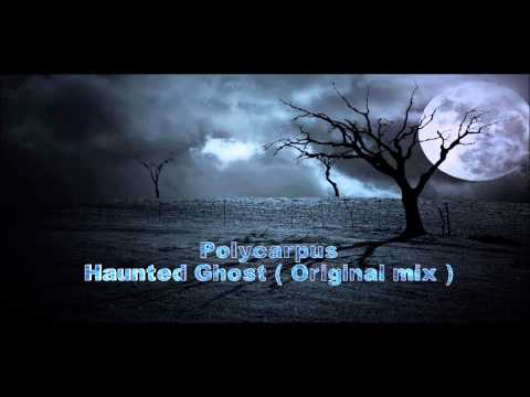 Polycarpus - Haunted Ghost ( Original Mix )