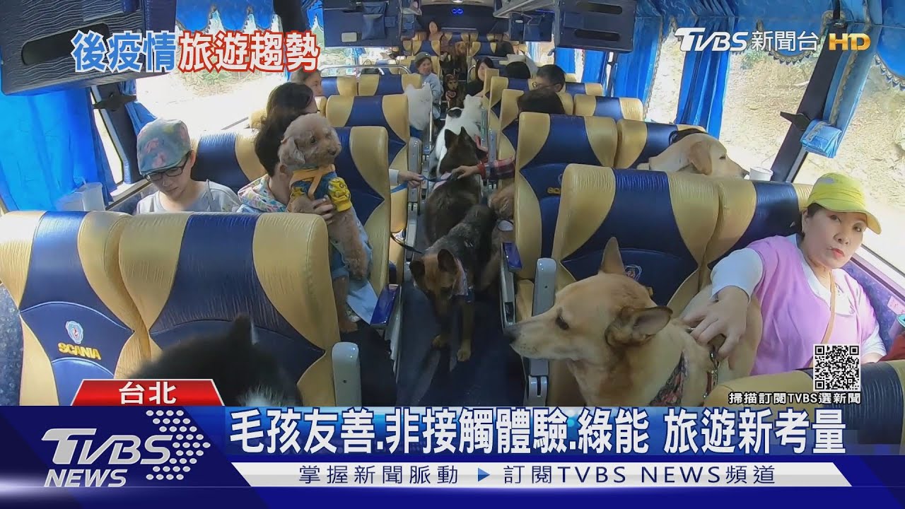 想去玩!2022報復旅遊潮?未來旅行趨勢報告出爐 寵物友善、環保、在地成旅遊首選