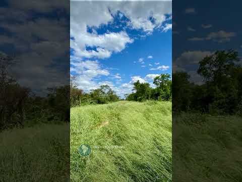 4,065 Ha Ranch for Sale in Alto Paraguay with Carbon Credit Income Potential
