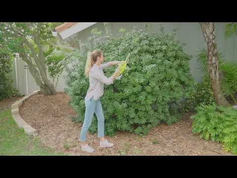Sun Joe 24V iON+ Cordless 18-inch Hedge Trimmer on QVC