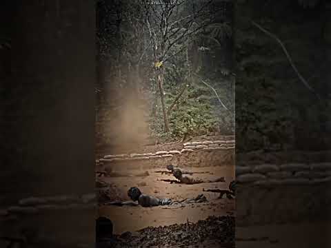 latihan TNI AD emangang ngeri gyss...