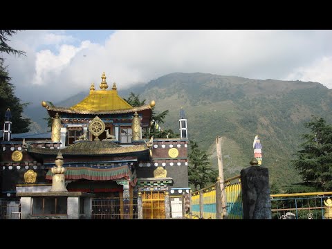 Oral seks porno rasm