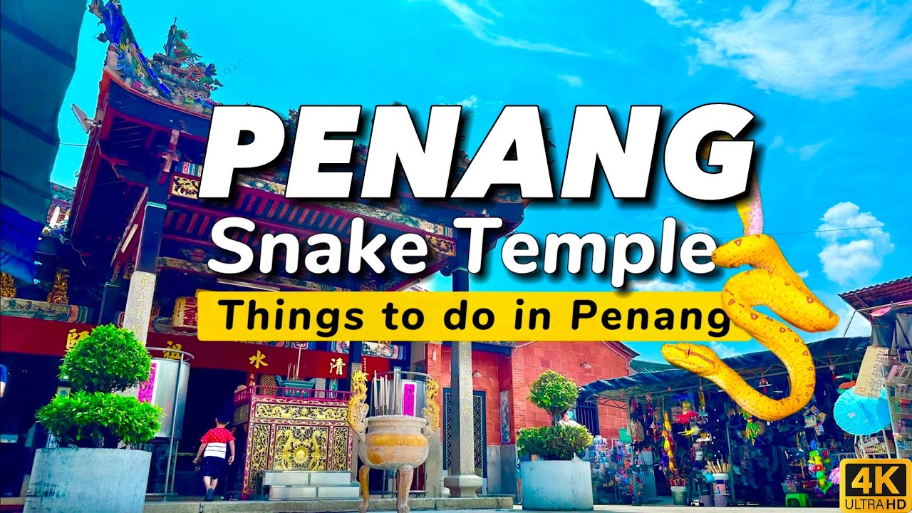Visit Penang’s famous Snake Temple, a rare blend of spirituality, history, and living legends