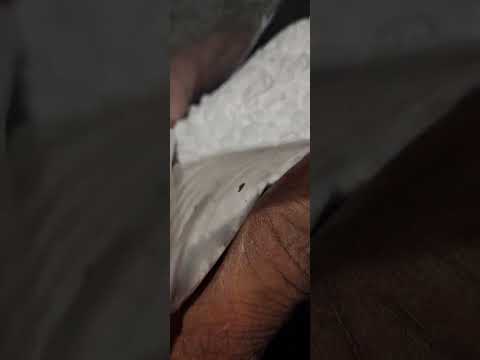 Potassium Carbonate K2co3 Powder