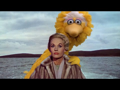 B.O.B. (Birds Over Big Bird)