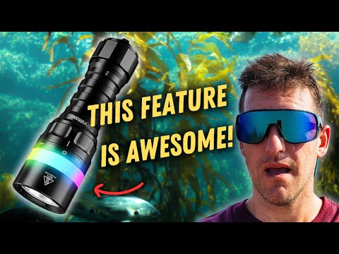 PNW Samson – Sofirn SD08 Budget Dive Torch Review (Cold Water)