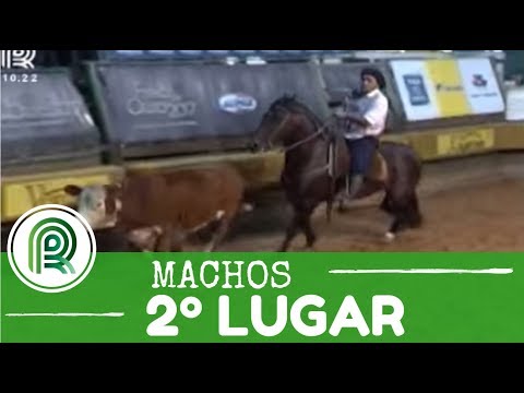 Golden Mouthpiece – 2nd place males – Peñarol da Boa Vista