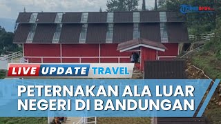 Litthe Ranch Bandungan Semarang, Tempat Wisata Alam Berkonsep Peternakan ala Luar Negeri