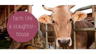 Farm Life & Slaughterhouse / EPISODE #11 // GREEN&HUNGRY