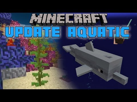 MEGA 1.13 Update! - Delfine, Korallen Riffe, Neue Waffe, Wasser Physics & Mehr! - Minecon Recap