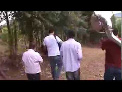 Tocata Tamarana PR Visita no sítio A minha alma deseja ver Te Amigão Hinos