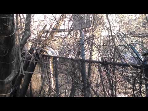 CTC-1B #1637 and GP40MC #1124 1/14/16