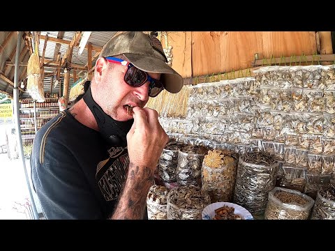 My Foreigner  Husband Try To Eat Dried Fish For The First Time