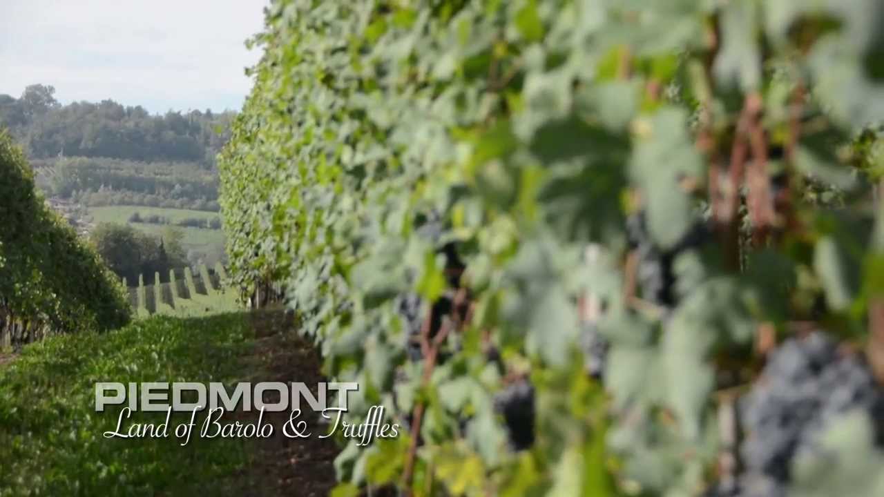 Ciclismo Classico - Piedmont: Land of Barolo & Truffles