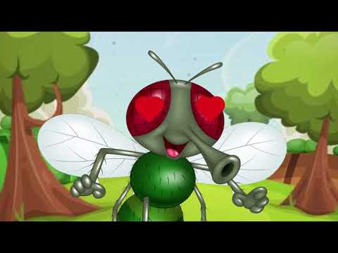 LA MOSCA Y EL MOSQUITO 2019 00 CANCIONES INFANTILES