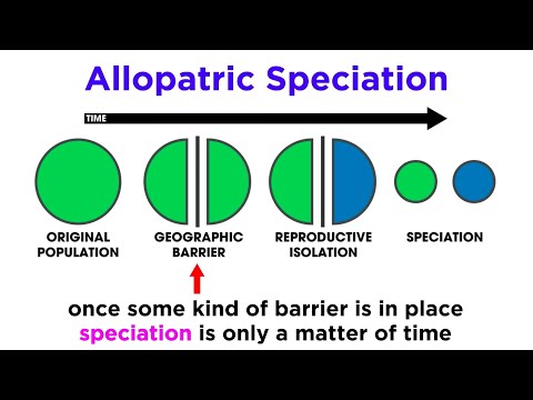 Types of Speciation: Allopatric, Sympatric, Peripatric, and Parapatric