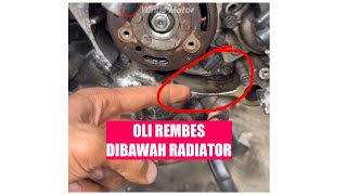 How to replace the magnetic seal on a Vario 110 carburetor