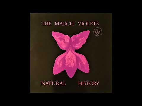 The March Violets – Natural History – LP, album, compilation