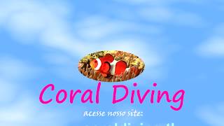 preview picture of video 'Entrevista do Ricardo para a Coral Diving - Mergulho no Japão'