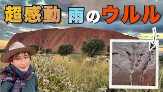 【３泊４日エアーズロック旅行 ① 】超感動！雨のウルル！