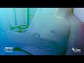 Cardiovascular Examination Clinical Examination In Practice