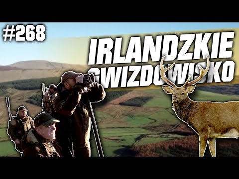 Darz Bór odc 268 - Irlandzkie Gwizdowisko
