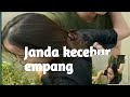 Bokong Nyeplak Akibat Kecebur Empang