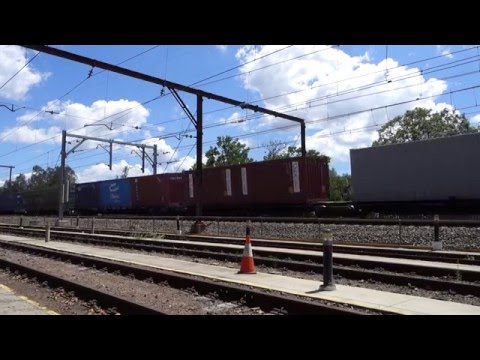 Three Coal Road 93's lead Pacific National 3SB1 - 2/2/16