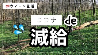 【海外生活】マックの新商品食べてみた|ニラ摘みに行く|ついに言い渡された減給。