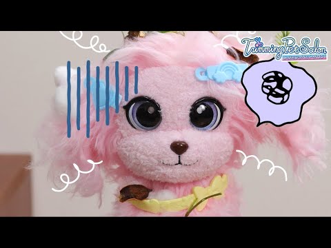 【トリミングペットサロン】　ぐちゃぐちゃになっちゃった！