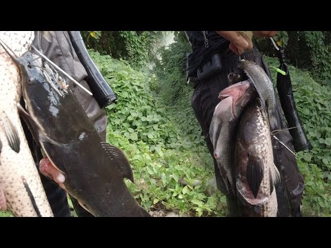 SE03EP105  -  MAG SINGLAKI na ANG DALAG at AFRICAN HITO | LUMAKI na LAHAT ng ISDA DITO | San Pablo