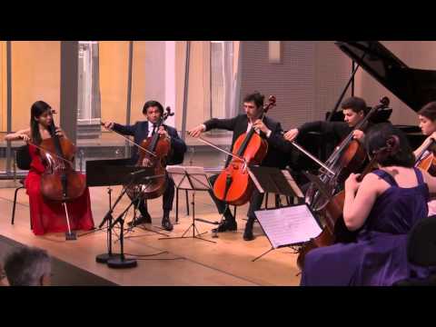 Allegro Appassionato Op 43, Saint Saëns - Javier Martínez Campos, Classe d´Excellence Louis Vuitton