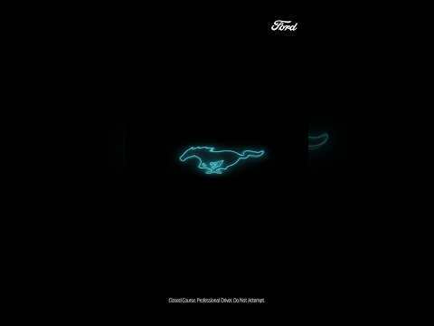 Новый пони в конюшне Mustang