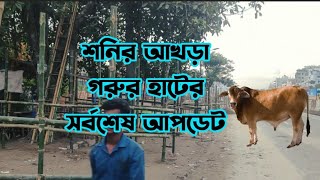 শনির আখড়া বিরাট গরু ছাগলের হাট।