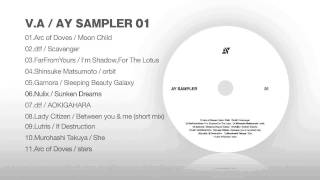 V.A / AY SAMPLER 01 (Free Compilation Album)