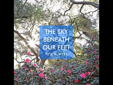 Pete M Wyer: A Way to make Immersive Music