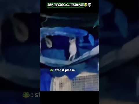 Bro the frog is literally me when a girl tries to tickle me😭💀