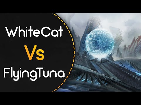 WhiteCat vs FlyingTuna! // Camellia - NUCLEAR-STAR (ProfessionalBox) [Gravitational Collapse]