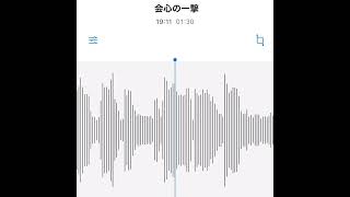 - #駄菓子cOver型 - 会心の一撃/RADWIMPS