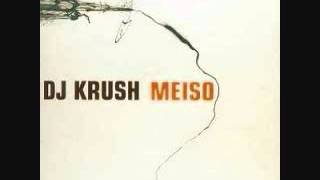 DJ Krush-Most Wanted Man (feat. Big Shug, Guru)