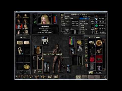 Wizardry 8 Reforged 33 - Party time
