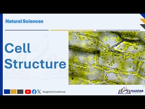 Cell Structure | Plant vs. Animal Cells | Grade 9 Natural Sciences